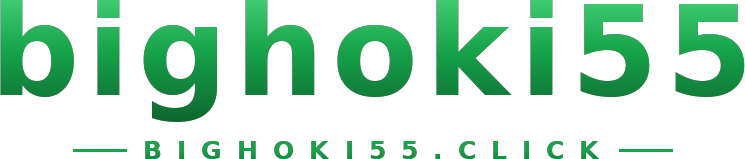 bighoki55 logo